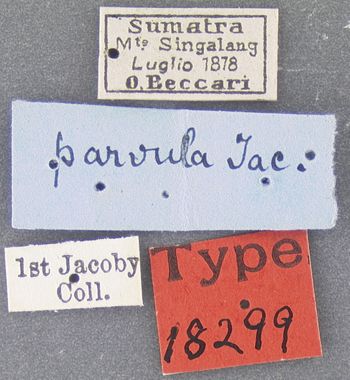 Media type: image; Entomology 18299   Aspect: labels
